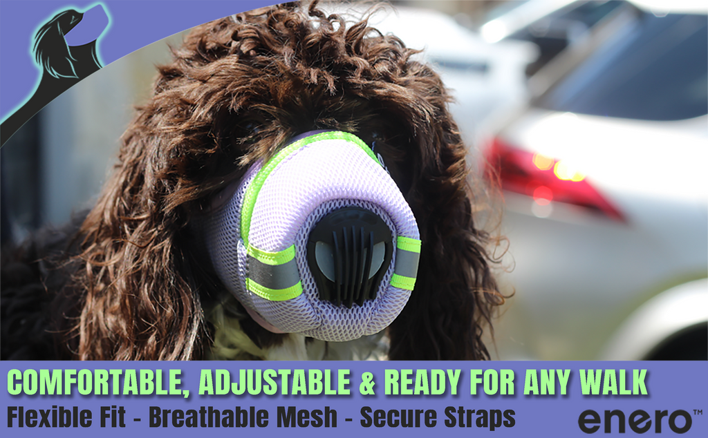 Enero AirGuard Reflective Dog Mask